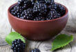 ผลไม้ อาหารสีดำ 10 อย่าง เพิ่มพลังสุขภาพ