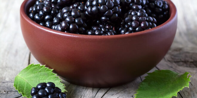 ผลไม้ อาหารสีดำ 10 อย่าง เพิ่มพลังสุขภาพ